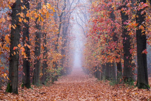 1755681 (a): :3700x2466